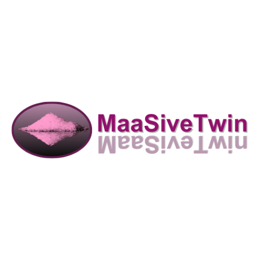 MaaSiveTwin–MAnufacturing as a service And Supply chain predictIVE Twin for critical raw materials