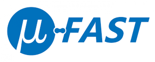 A FAST process and production system for high-throughput, highly flexible and cost-efficient volume production of miniaturised components made of a wide range of materials