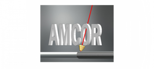 Additive Manufacturing for Wear and Corrosion Applications