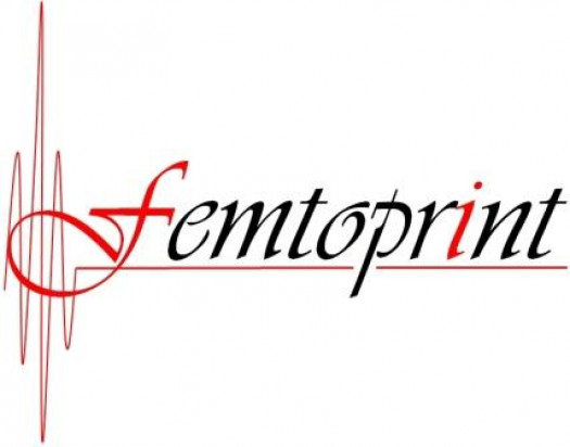 Femtosecond Laser Printer for Glass Microsystems with Nanoscale Features