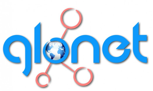 Glocal enterprise network focusing on customer-centric collaboration